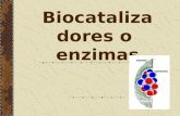 Biocatalizadores o enzimas. Enzimas Todas las reacción químicas que tienen lugar en los organismos (metabolismo) solo es posible gracias a la acción.