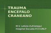 TRAUMA ENCEFALO CRANEANO M.V. Letizia Zufriategui Hospital Escuela-FCV-UNLP.