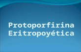 Protoporfirina Eritropoyética. Protoporfiria Eritropoyética Definición: Fotodermatosis dolorosa sin ampollas Causada por errores en la vía biosintética.