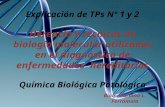 Explicación de TPs Nº 1 y 2 Herencia y técnicas de biología molecular utilizadas en el diagnóstico de enfermedades hereditarias Química Biológica Patológica.