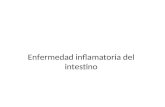 Enfermedad inflamatoria del intestino. La enfermedad inflamatoria del intestino (EII) es una inflamación idiopática y crónica intestinal. La colitis ulcerativa.