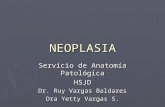 NEOPLASIA Servicio de Anatomía Patológica HSJD Dr. Ruy Vargas Baldares Dra Yetty Vargas S.