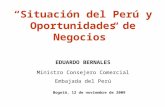 Situación del Perú y Oportunidades de Negocios EDUARDO BERNALES Ministro Consejero Comercial Embajada del Perú Bogotá, 12 de noviembre de 2009.
