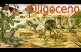 Era 1 PeríodoÉpocaMillones años Cenozoico Cuaternario Holoceno0,011784 Pleistoceno2,588 Neógeno Plioceno5,332 Mioceno23,03 Paleógeno Oligoceno33,9 ±0,1.