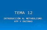 TEMA 12 INTRODUCCIÓN AL METABOLISMO. ATP Y ENZIMAS.