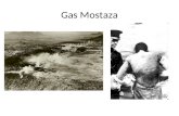 Gas Mostaza. Ascari Rodolfo Graziani Omar Mukhtar.
