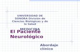El Paciente Neurológico Abordaje clínico UNIVERSIDAD DE SONORA División de Ciencias Biológicas y de la Salud MEDICINA.