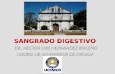 SANGRADO DIGESTIVO DR. HECTOR LUIS HERNANDEZ BRICEÑO COORD. DE SEMINARIOS DE CIRUGIA.