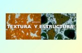 TEXTURA Y ESTRUCTURA. Textura: Superficie específica Reacciones de superficie: Adsorción Intercambio iónico.