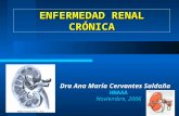 Dra Ana María Cervantes Saldaña HNAAA Noviembre, 2006 ENFERMEDAD RENAL CRÓNICA.