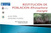 ALIN PEÑA ARIADNA FLORES RESTAURACIÓN DE POBLACIONES Máster Oficial en Restauración de Ecosistemas.