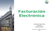 Facturación Electrónica Camilo Garrido Torres Innovación Pontevedra, 10 de diciembre de 2008.