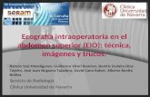 Ecografía intraoperatoria en el abdomen superior (EIO): técnica, imágenes y trucos. Ramón Saiz Mendiguren, Guillermo Viteri Ramirez, Beatriz Zudaire Díaz-