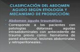 Abdomen agudo traumático: Corresponde a los pacientes con patologías dolorosas agudas intraabdominales con antecedente de trauma previo como: hematoma.