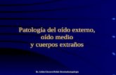 Dr. Julián Chaverri Polini Otorrinolaringología Patología del oído externo, oído medio y cuerpos extraños.