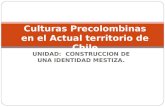UNIDAD: CONSTRUCCION DE UNA IDENTIDAD MESTIZA. Culturas Precolombinas en el Actual territorio de Chile.