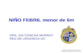 NIÑO FEBRIL menor de 6m DRA. IDA CONCHA MURRAY RED DE URGENCIA UC Programa de Medicina de Urgencia Pontificia Universidad Católica de Chile.