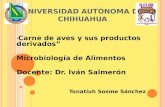 U NIVERSIDAD A UTÓNOMA DE C HIHUAHUA Carne de aves y sus productos derivados Microbiología de Alimentos Docente: Dr. Iván Salmerón Tonatiuh Sosme Sánchez.