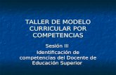 TALLER DE MODELO CURRICULAR POR COMPETENCIAS Sesión III Identificación de competencias del Docente de Educación Superior.