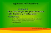 Unidad II Eco fisiología de poscosecha de frutas y hortalizas. Contenidos: 2.7 Influencia de la atmósfera sobre el metabolismo de los productos cosechados.