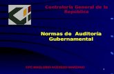1 Contraloría General de la República Normas de Auditoría Gubernamental CPC MAGLORIO ACEVEDO MARZANO.