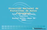 Dirección Nacional de Protección de Datos Personales Prof. Dr Juan Antonio Travieso Buenos Aires, Mayo de 2005.