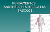FUNDAMENTOS ANATOMO-FISIOLOGICOS BÁSICOS. DEFINICIÓNDEFINICIÓN Anatomía = Estudio de la estructura orgánica y relaciones. Anatomía = Estudio de la estructura.