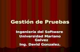 Gestión de Pruebas Ingeniería del Software Universidad Mariano Galvez Ing. David Gonzalez.