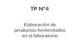 TP N°4 Elaboración de productos fermentados en el laboratorio.