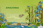AMAZONIA. REGIÓN DEL AMAZONAS El pulmón del Mundo.