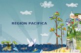 REGIÓN PACIFICA. REGION PACIFICA Se localiza en el occidente del país, entre la cordillera occidental y la costa del pacifico y desde el golfo de uraba.