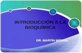 2008 INTRODUCCIÓN A LA BIOQUÍMICA DR. MARTIN MEDINA.