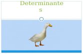 Determinantes. Los Determinantes Los determinantes son palabras que acompañan al nombre. Tipos de determinantes: -Los artículos -Los demostrativos -Los.