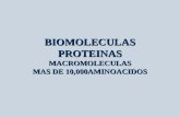 BIOMOLECULAS PROTEINAS MACROMOLECULAS MAS DE 10,000AMINOACIDOS.