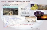 Tema 7. RECURSOS Y RIESGOS GEOLÓGICOS 1. Recursos minerales y civilización Materias primas Sustancias energéticas Productos de cantera Velocidad de formación.