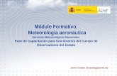 Tema 3 Servicios Meteorológicos 1 Módulo Formativo: Meteorología aeronáutica Servicios Meteorológicos Nacionales Fase de Capacitación para funcionarios.