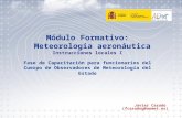 Instrucciones locales I 1 Módulo Formativo: Meteorología aeronáutica Instrucciones locales I Fase de Capacitación para funcionarios del Cuerpo de Observadores.