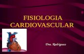 FISIOLOGIA CARDIOVASCULAR Dra. Rodriguez. FISIOLOGIA CARDIOVASCULAR El sistema circulatorio está constituido por el corazón, los vasos sanguíneos y la.