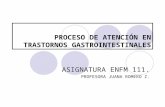 PROCESO DE ATENCIÓN EN TRASTORNOS GASTROINTESTINALES ASIGNATURA ENFM 111. PROFESORA JUANA ROMERO Z.