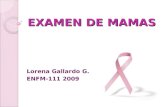 EXAMEN DE MAMAS Lorena Gallardo G. ENFM-111 2009.