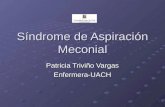 Síndrome de Aspiración Meconial Patricia Triviño Vargas Enfermera-UACH.