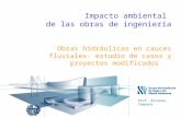 Obras hidráulicas en cauces fluviales: estudio de casos y proyectos modificados Prof. Álvarez-Campana Impacto ambiental de las obras de ingeniería.