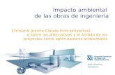 Impacto ambiental de las obras de ingeniería Christo & Jeanne-Claude (tres proyectos), o sobre las alternativas y el ámbito de los proyectos como optimizadores.