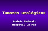Tumores urológicos Andrés Redondo Hospital La Paz.