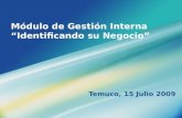 Módulo de Gestión Interna Identificando su Negocio Temuco, 15 Julio 2009.