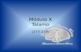 Módulo X Tálamo (277-279). Departamento de Anatomía Humana, U. A. N. L. Tálamo Es la estructura más voluminosa del diencéfalo. Es una mas ovoide voluminosa.