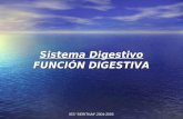 IES "SERITIUM".2004-2005 Sistema Digestivo FUNCIÓN DIGESTIVA.