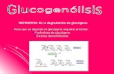 Para que se degrade el gluc³geno requiere enzimas: Fosforilasa de gluc³geno Fosforilasa de gluc³geno Enzima desramificante Enzima desramificante DEFINICION: