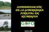 SISTEMATIZACIÓN DE LA GOBERNANZA FORESTAL EN NICARAGUA Agosto, 2008 Logo Borrador.