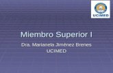 Miembro Superior I Dra. Marianela Jiménez Brenes UCIMED.